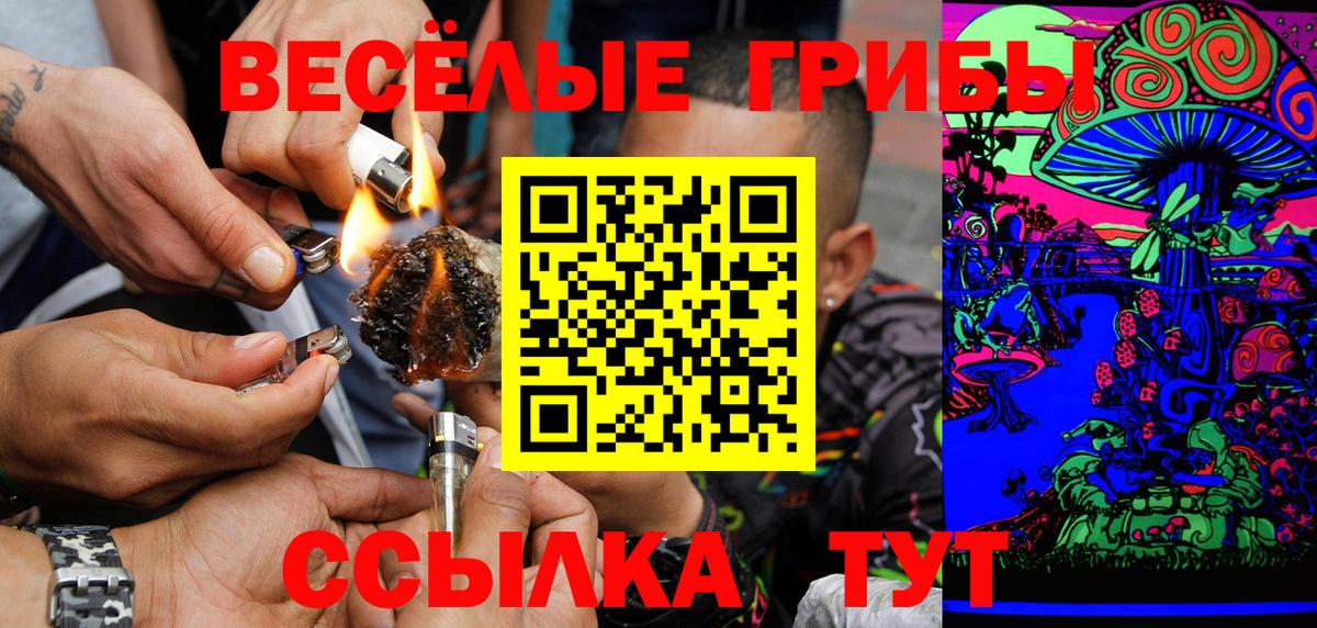 Псилоцибиновые грибы Cubensis Стерлитамак