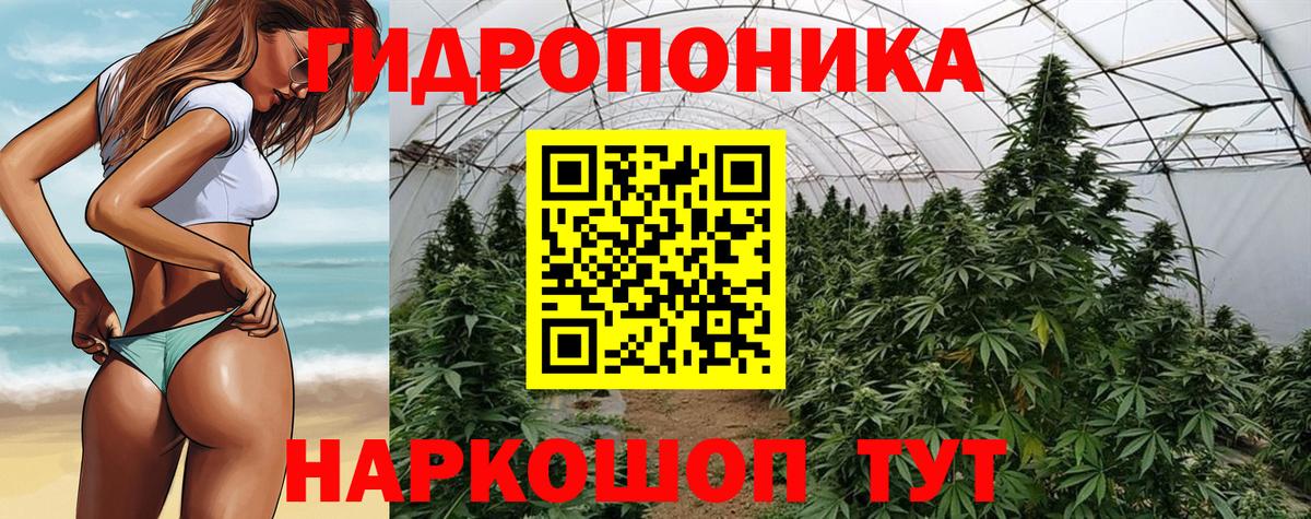 Бошки Шишки сатива  Бошки Шишки OG Kush  Стерлитамак  Каннабис план  Вход с VPN 